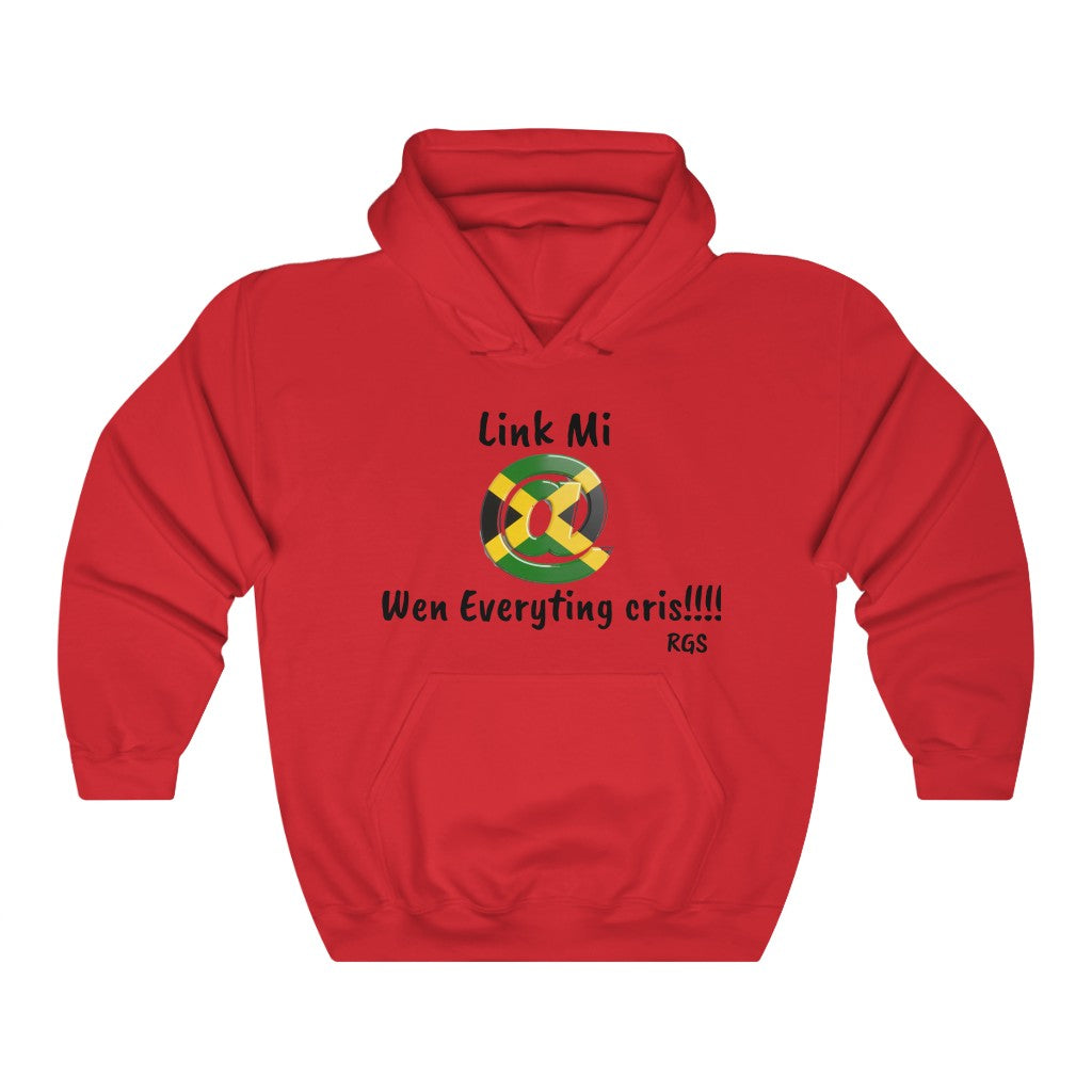 Link Mi Heavy Blend Hooded Sweatshirt