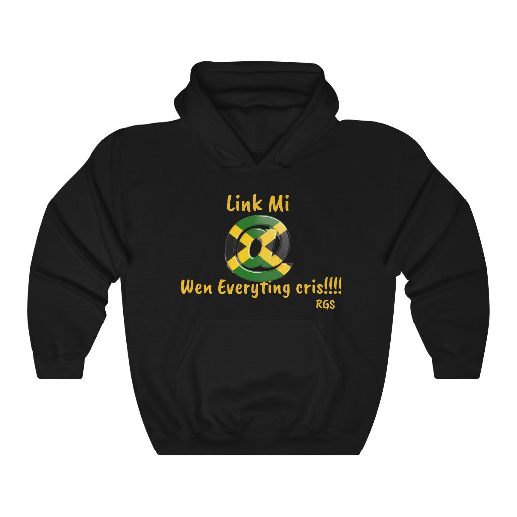 Link Mi Heavy Blend Hooded Sweatshirt