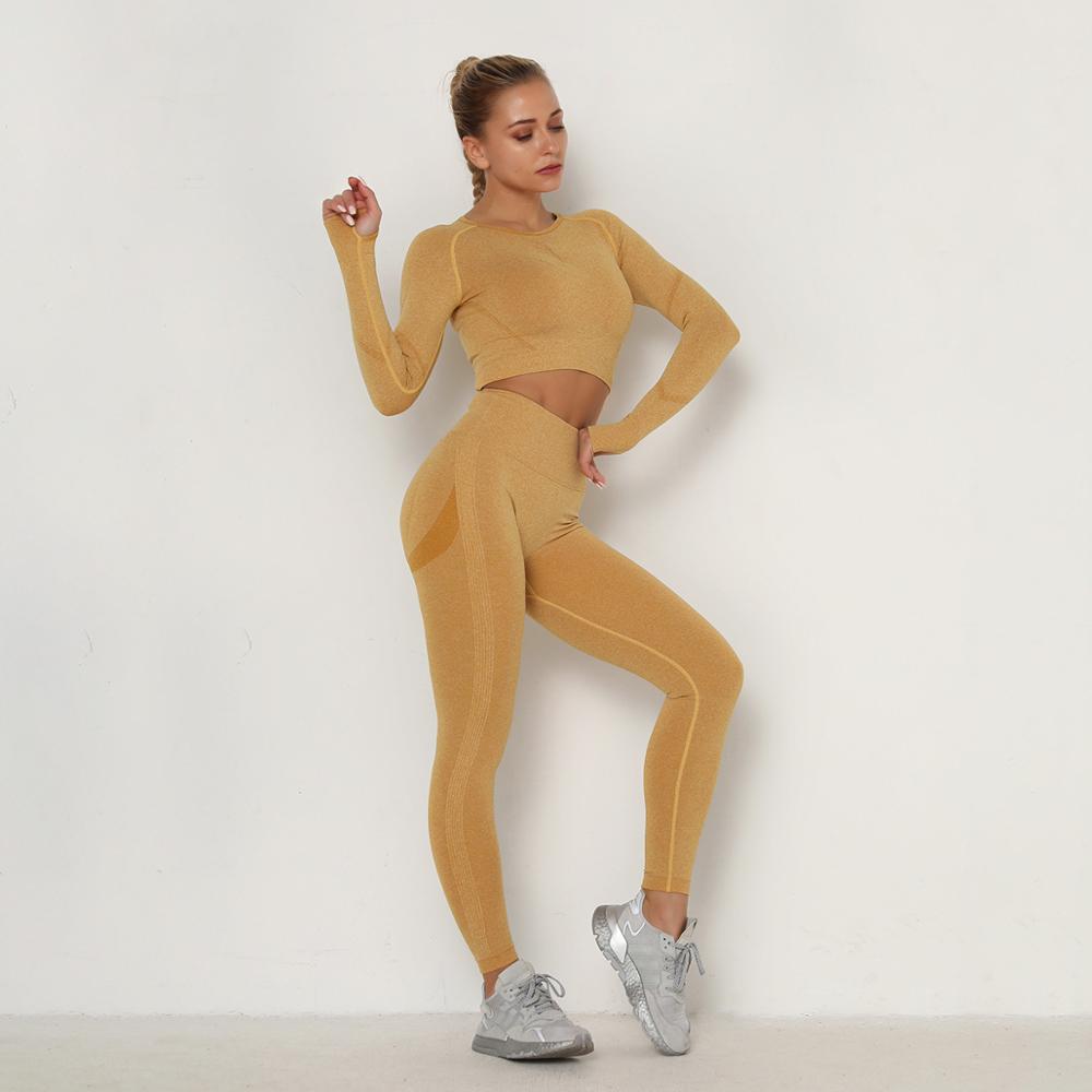 Seamless Gym Wear