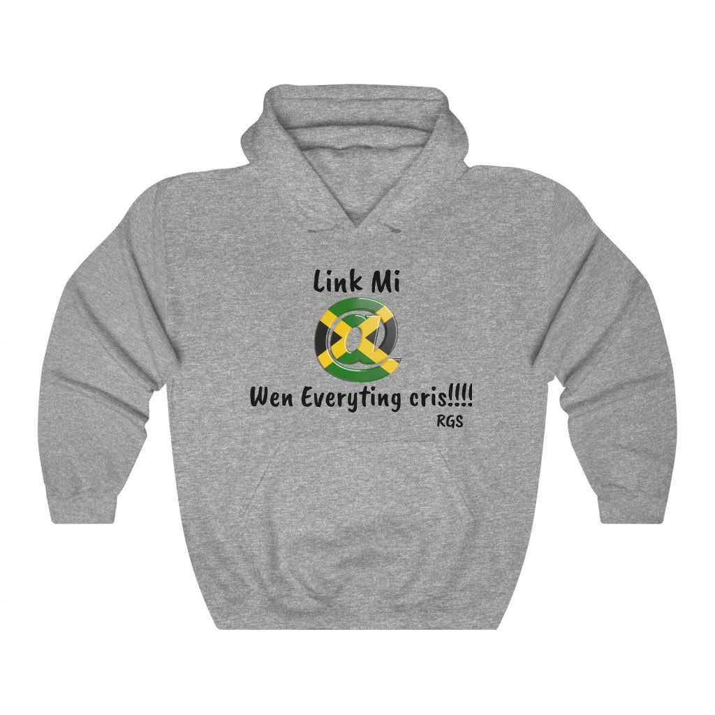 Link Mi Heavy Blend Hooded Sweatshirt