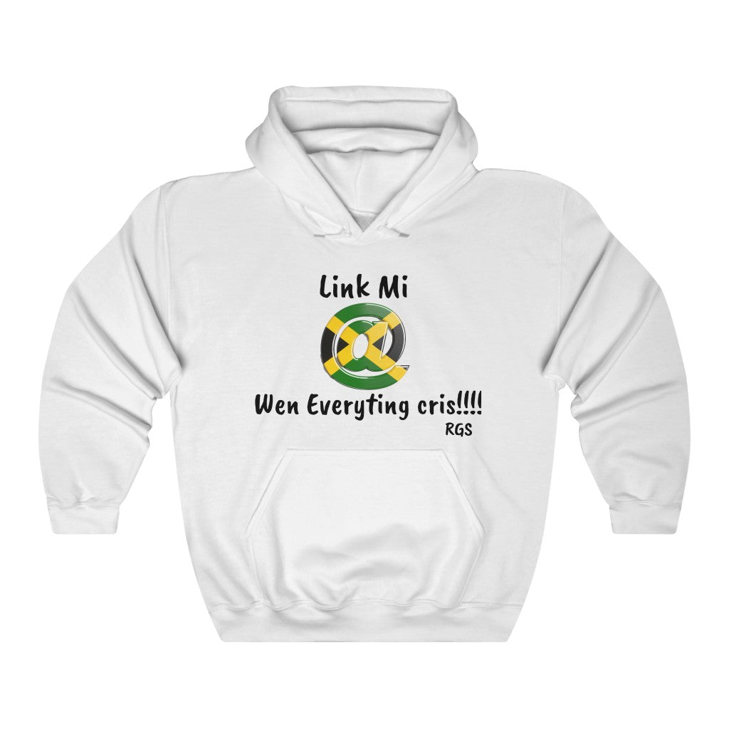 Link Mi Heavy Blend Hooded Sweatshirt