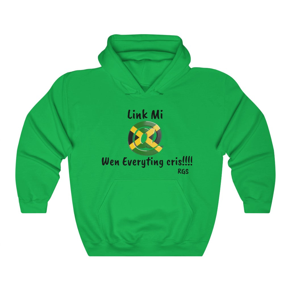 Link Mi Heavy Blend Hooded Sweatshirt