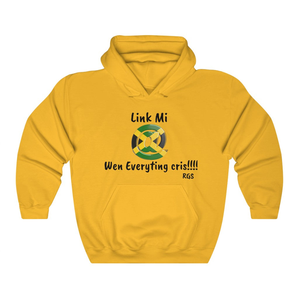 Link Mi Heavy Blend Hooded Sweatshirt
