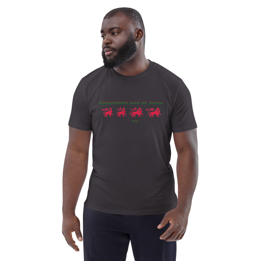 Conquering Unisex organic cotton t-shirt