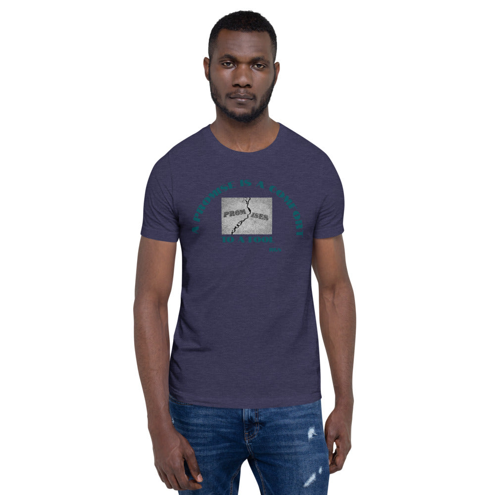 Broken Promise Mens T-Shirt