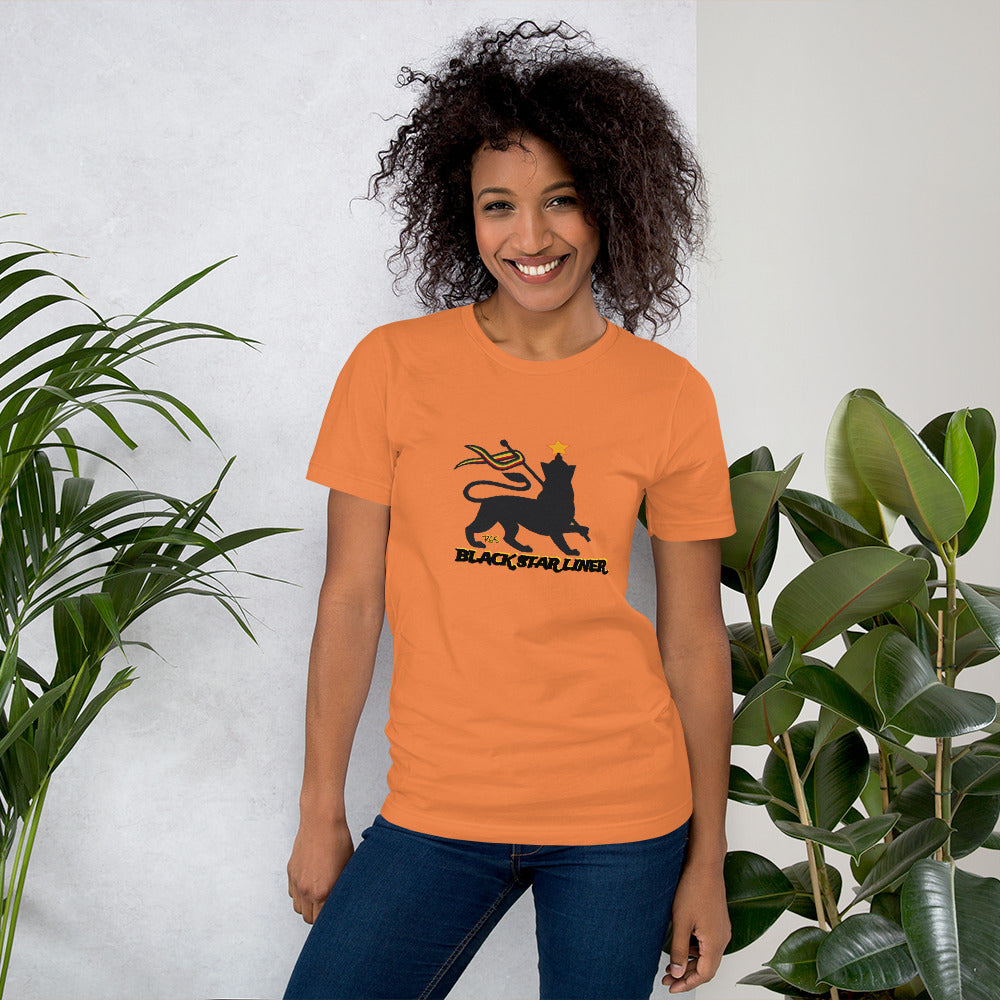 Consciousness Unisex T-Shirt