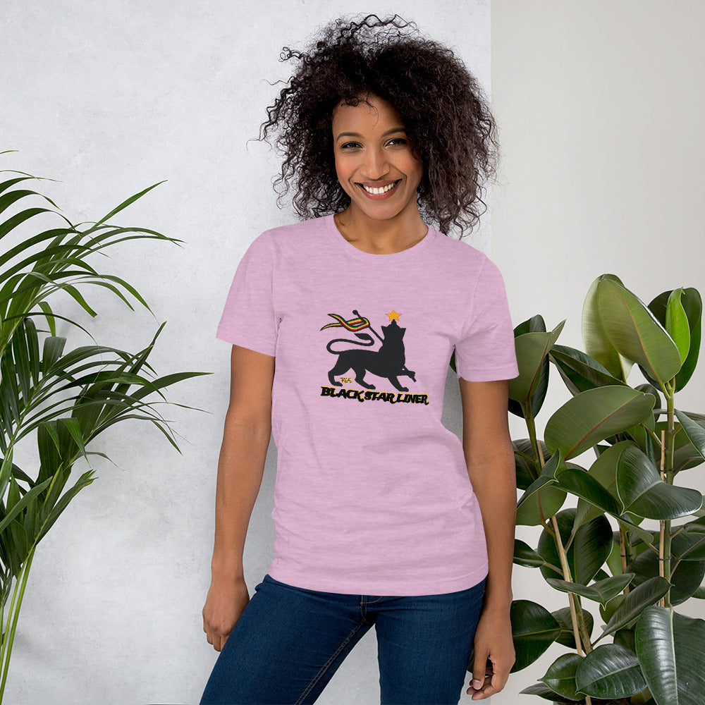 Consciousness Unisex T-Shirt