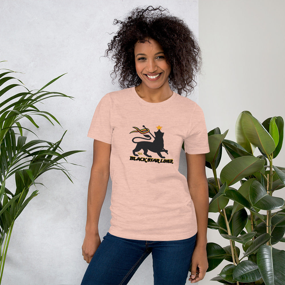 Consciousness Unisex T-Shirt