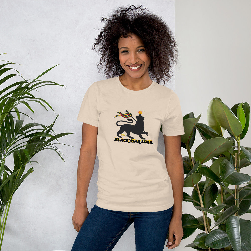 Consciousness Unisex T-Shirt